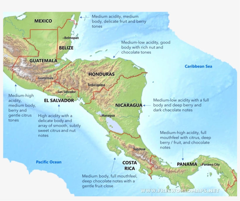 Balanced, Bright, And Clean Are The Words Most Frequently, transparent png download