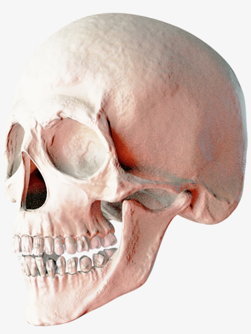 Skull Png Transparent Image - Skull Png, transparent png download