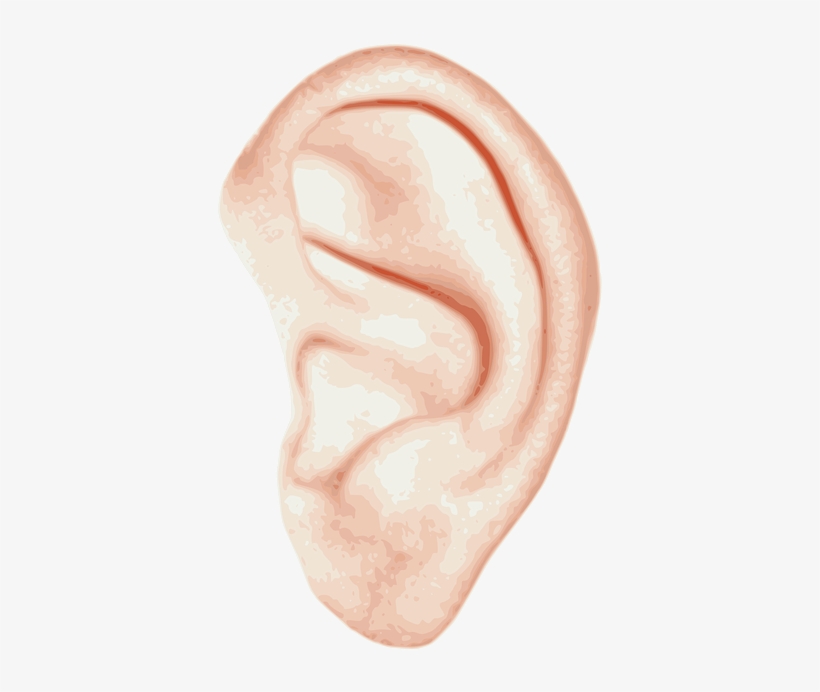 We've Been Talking About Marketing Paralysis - Ухо Png, transparent png download