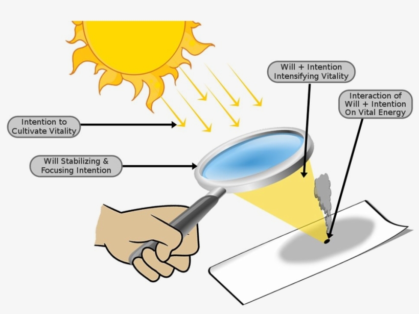 Focused Rays Burn A Hole - Magnifying Glass, transparent png download