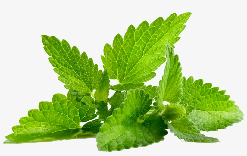 Mint Png Transparent, transparent png download