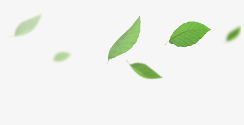 Leaf02 - Leaves Falling, transparent png download