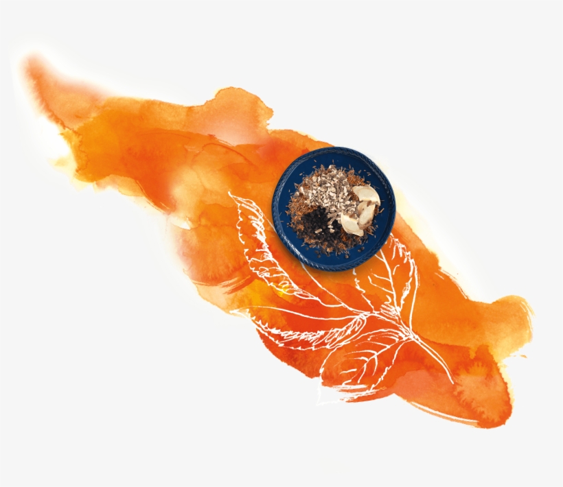 Brewing Instructions - Goldfish, transparent png download