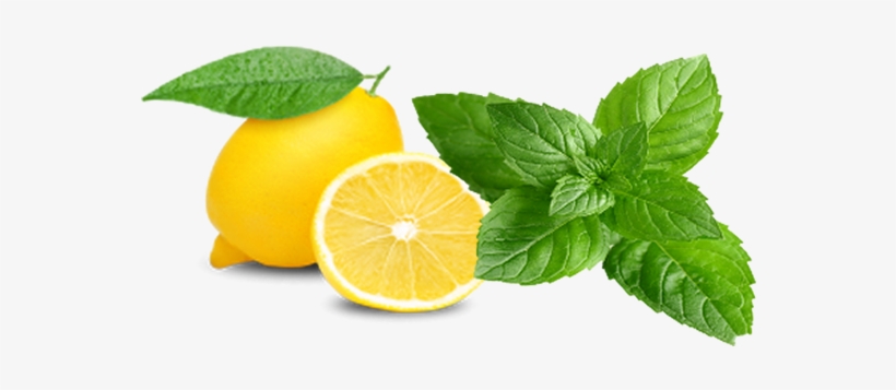 Banner Black And White Dnr Turkish Restaurant - Lemon Roblox, transparent png download