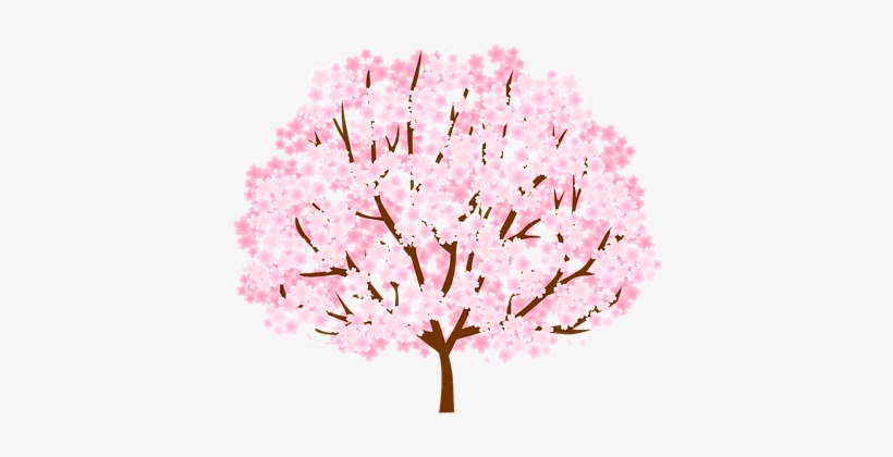 Tree, Cherry Blossom, Spring, Nature - Ichinoehidamari Orthopedic Clinic, transparent png download