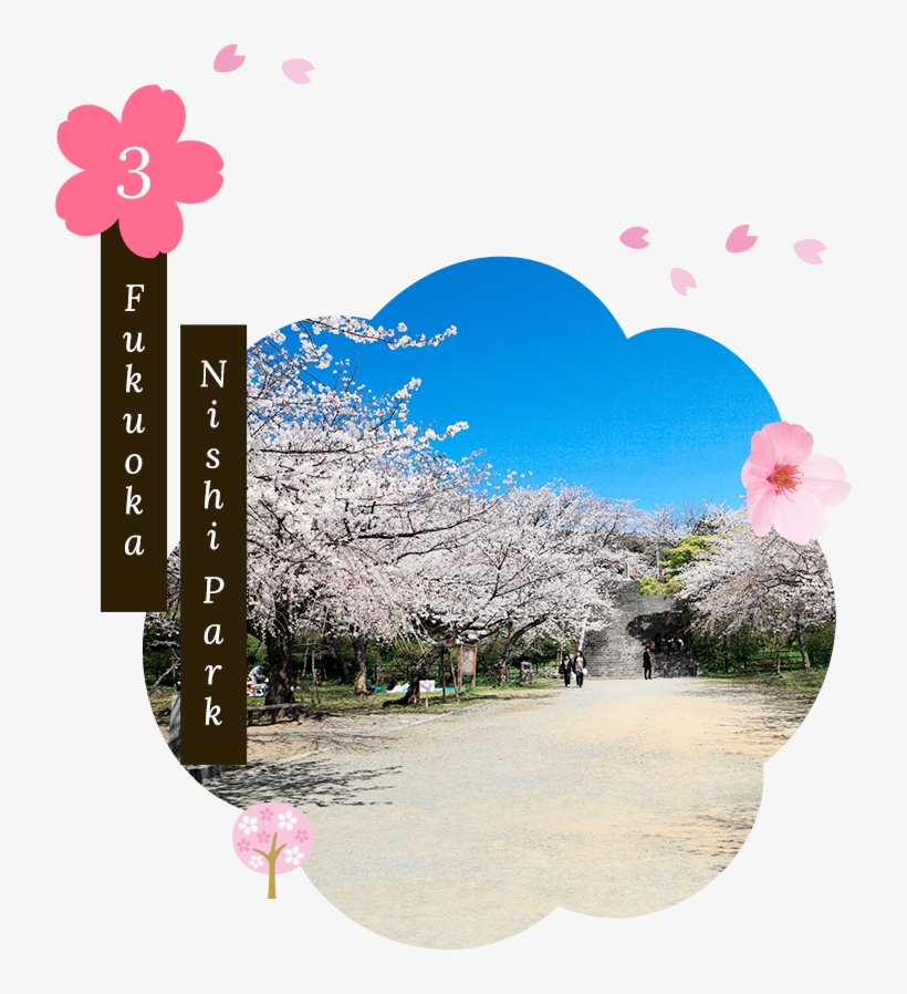 A Unique Feature Of Fukuoka Nishi Park Are The Pockets - Picture Frame, transparent png download