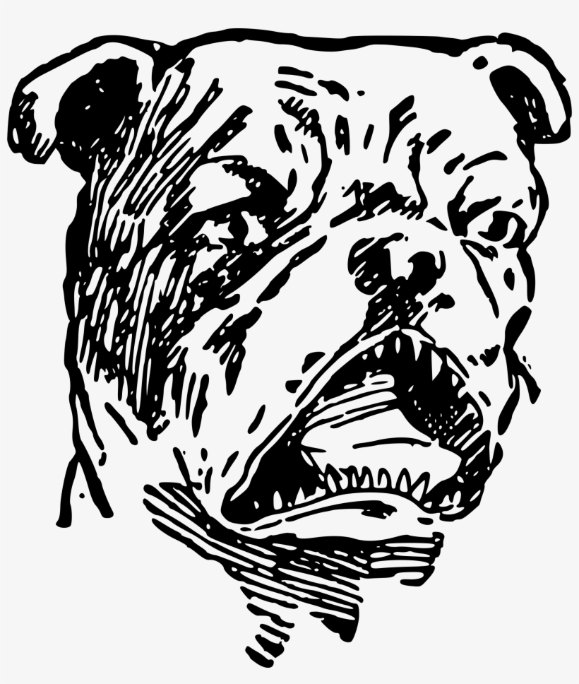 Dog Breed Bulldog Non-sporting Group Tiger Puppy - Angry Bull Dog, transparent png download