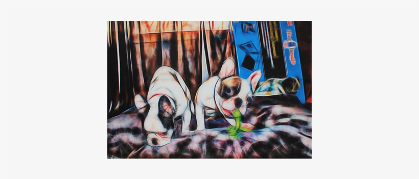 Thumb J - Contreras - Whippet, transparent png download