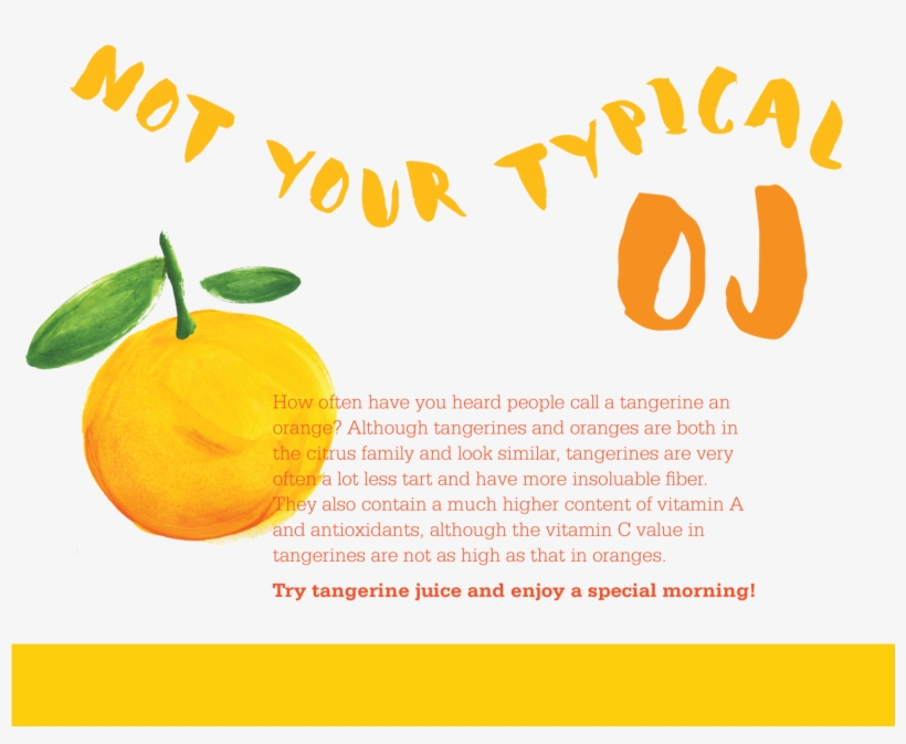 I M Not An Orange Julia Wong - Watercolor Painting, transparent png download