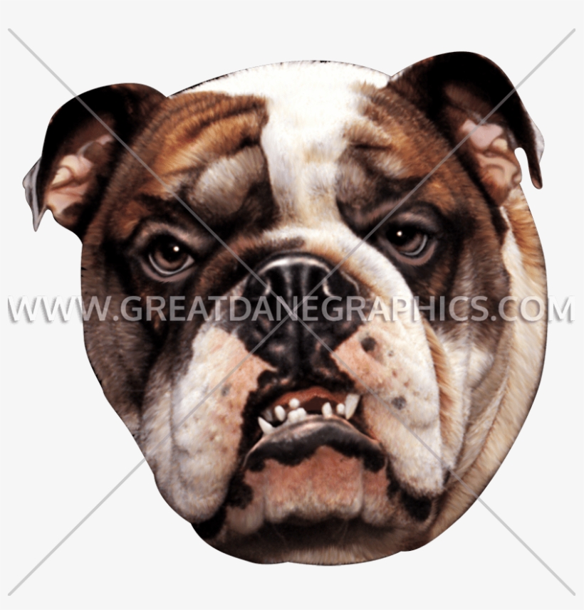 Fantasticdesignsshop Bulldog Tee Shirt, Dog Lover Tshirt,, transparent png download