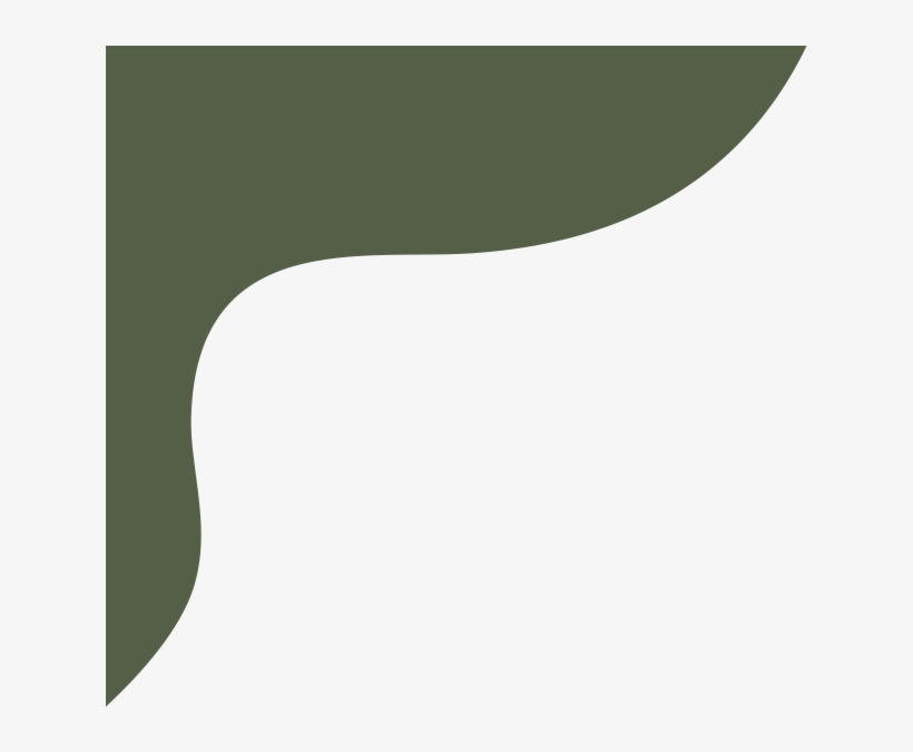 Texas Monthly Art Direction, Illustration - Ivory, transparent png download