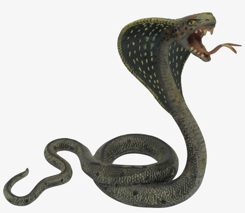 Cobra Snake Png Photos - Black Mamba King Cobra Snake, transparent png download