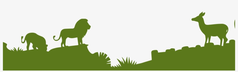 Field Trip Scholarships - Zoo Animal Backgrounds, transparent png download