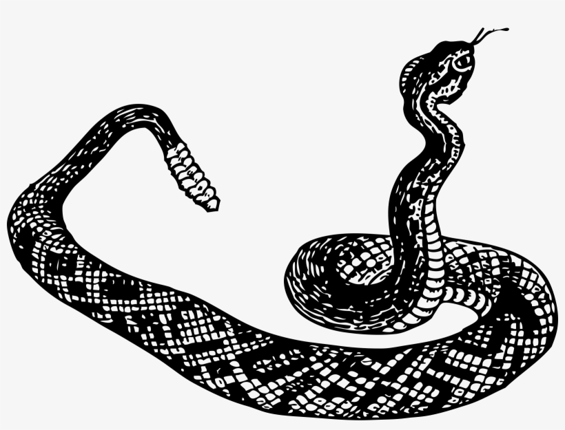 How To Set Use Rattle Snake Clipart, transparent png download