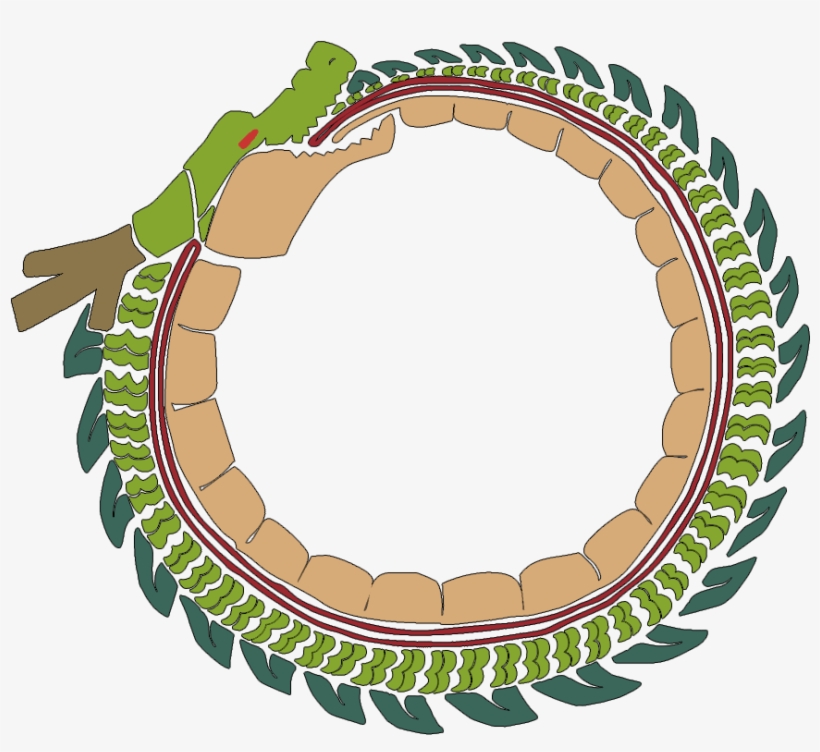 Shenron In A Circle, transparent png download