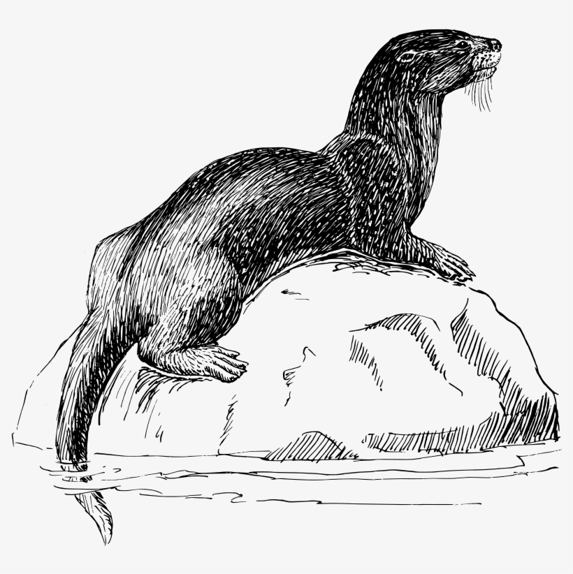 Free Vector Otter - Otter!! Mug, transparent png download