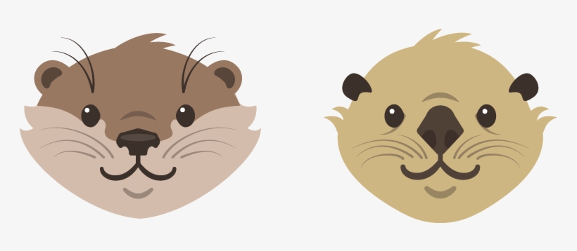 Sea And River Otter, transparent png download