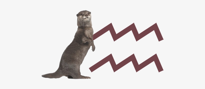 Otter - Madoka Magica Zodiac Signs, transparent png download