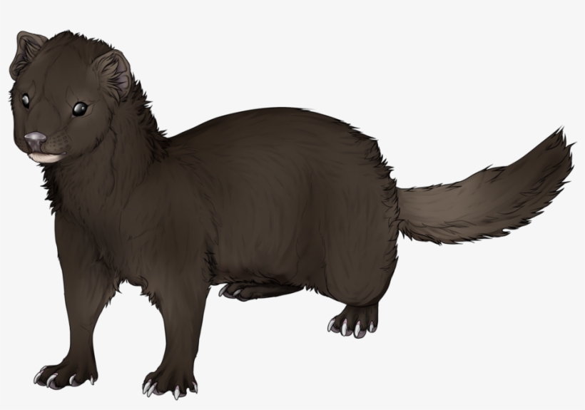 Ferret Clip Art Hand - Marta Animal Png, transparent png download