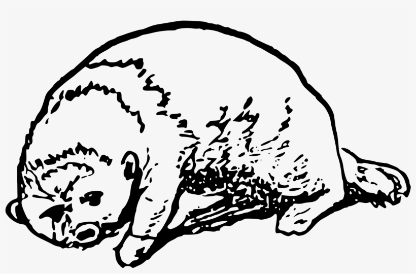 This Free Icons Png Design Of Dyfrgi, transparent png download