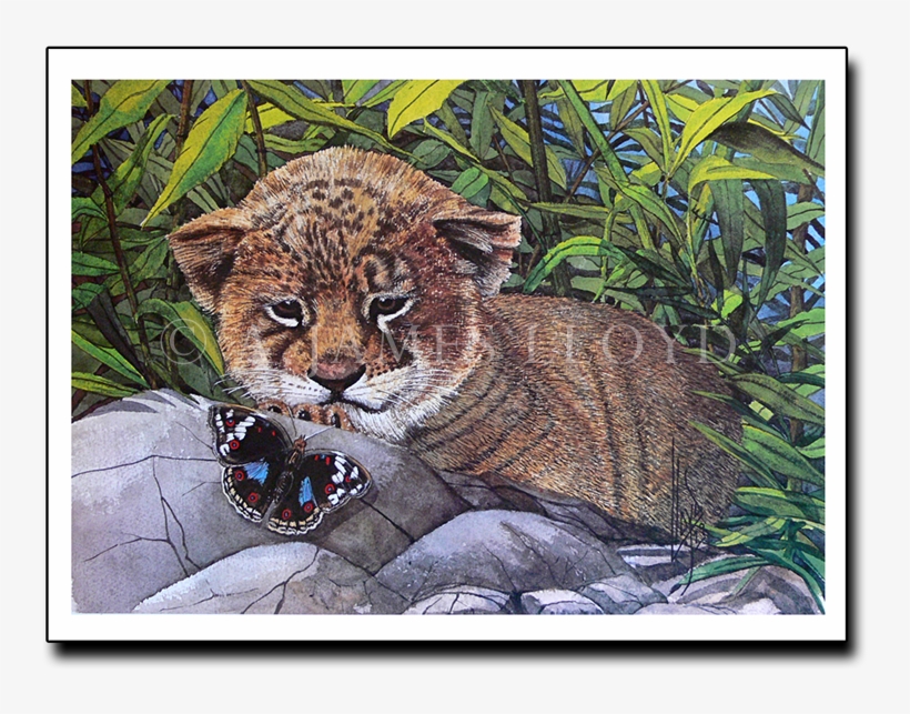 This Puddle's Mine - Ocelot, transparent png download
