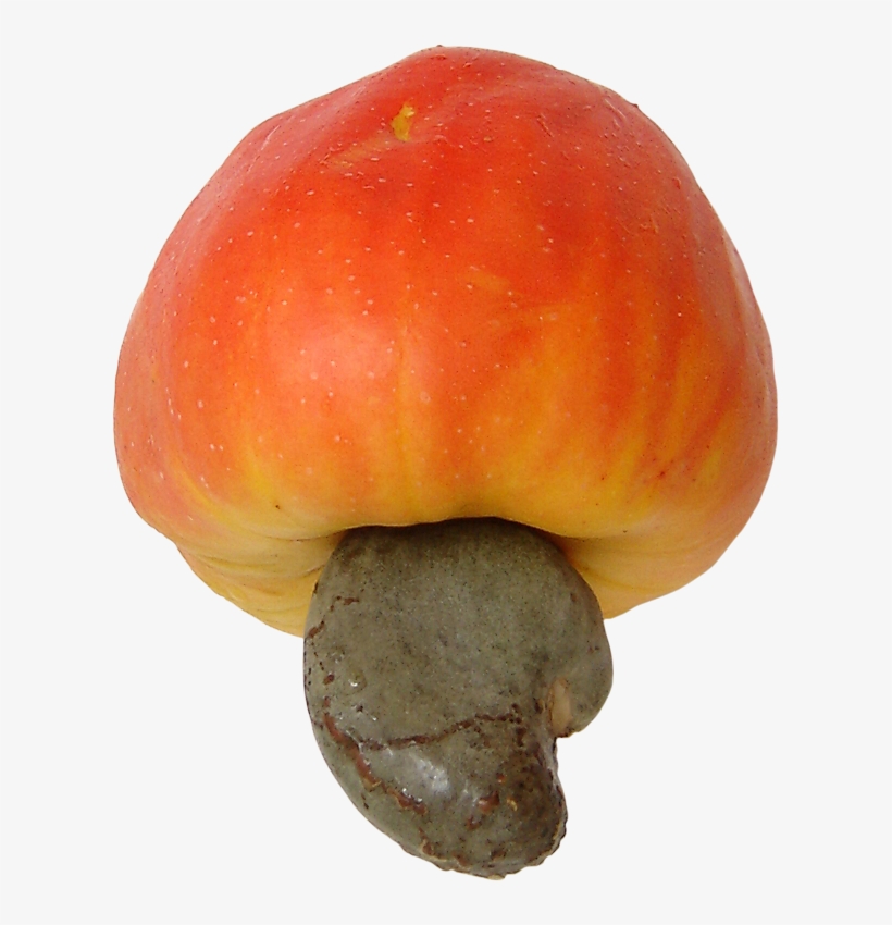 Cashew Brazil Fruit 3 - Cashew Fruit, transparent png download