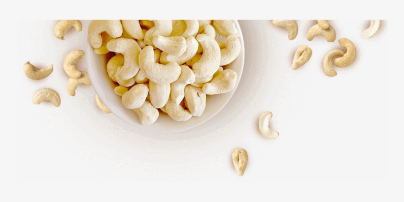 The Cashew Nut Cookies Are Our “all Time Best Seller” - W210 Cashew Nut, transparent png download