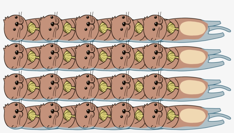 Sea Otter Clipart Transparent - Momotarou Sea Otter, transparent png download