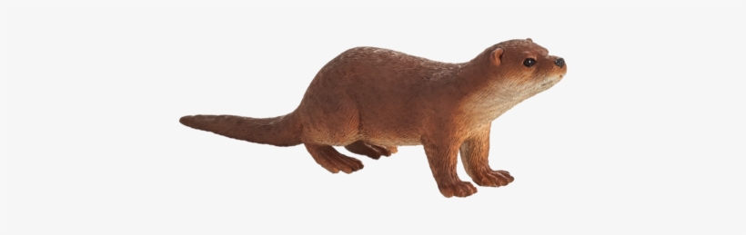 Otter - Mojo Fun Otter, transparent png download