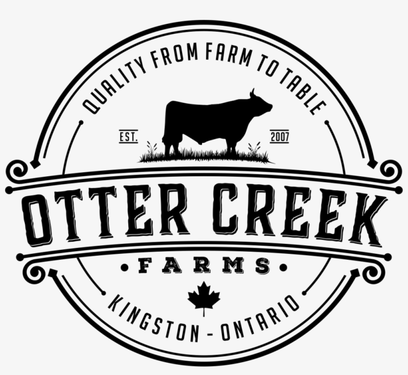 Otter Png, transparent png download