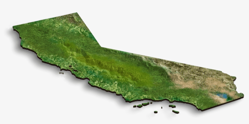 Larry Finished High School Here, But Ultimately Did - Chlorophyta, transparent png download