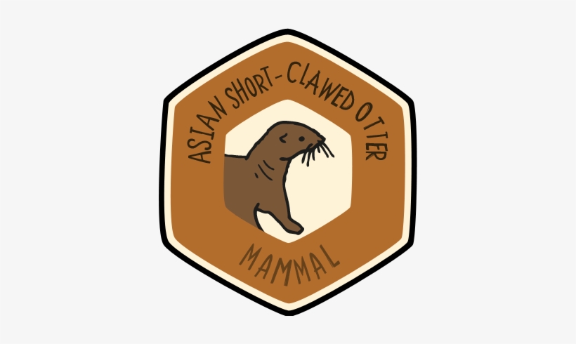 More We Think You'll Love - Punxsutawney Phil, transparent png download