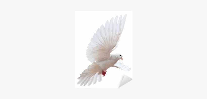 El Espiritu Santo Y El Hablar En Otras Lenguas, transparent png download