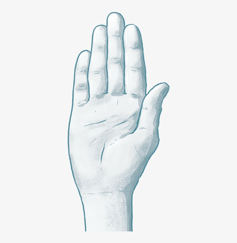 The Good Soldier White Dove Png - Sketch, transparent png download