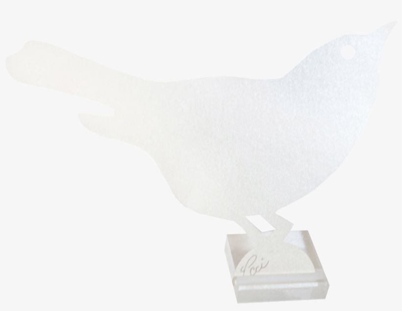 Bird - Pigeons And Doves, transparent png download