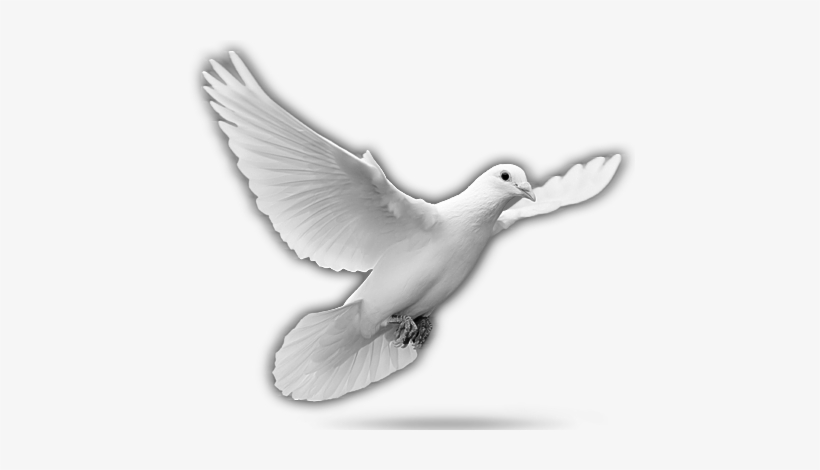 The Countries Of The World Had Paid A Heavy Price During - Bratislava, transparent png download