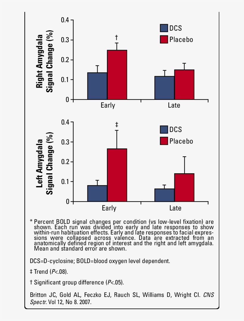 Effects Of Dcs Versus Placebo On Amygdala Habituation, transparent png download