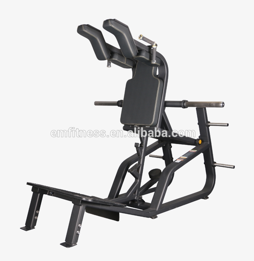 World Gym Logo Png, transparent png download