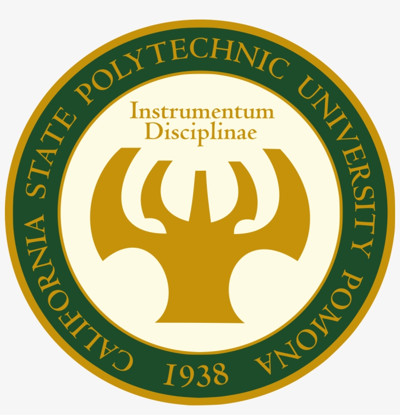 1 Reply 7 Retweets 38 Likes, transparent png download