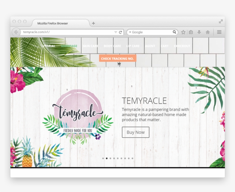 A Quick Review Of What What We Can Built, transparent png download