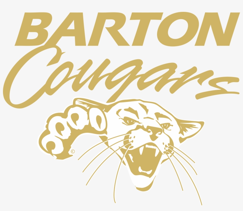 Jpg - Png, transparent png download