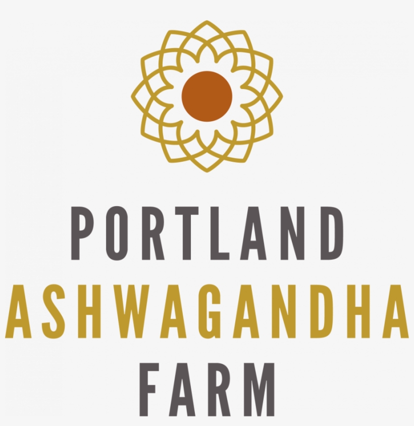 Previous - Next, transparent png download