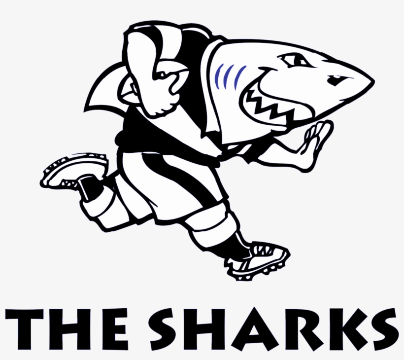 The Sharks Rugby Logo, transparent png download
