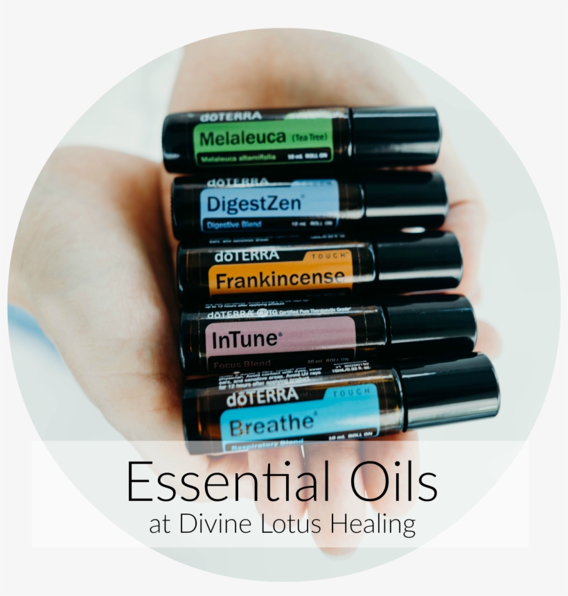 View All, transparent png download