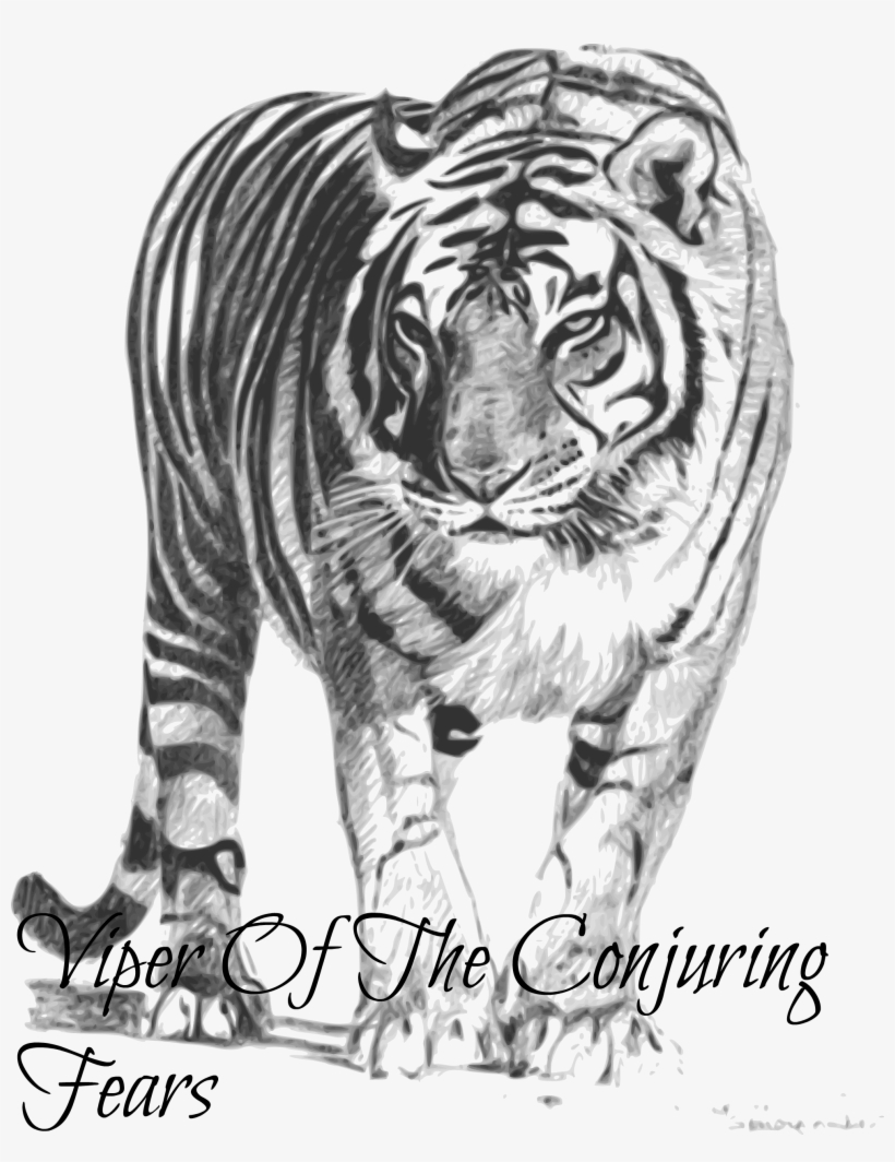 Image Bengal Png K, transparent png download