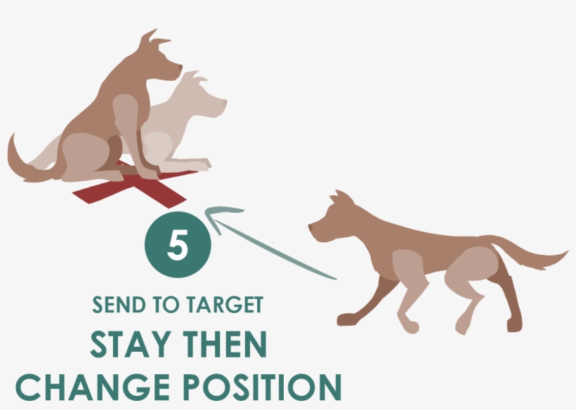 Send To Target, Position Change, transparent png download