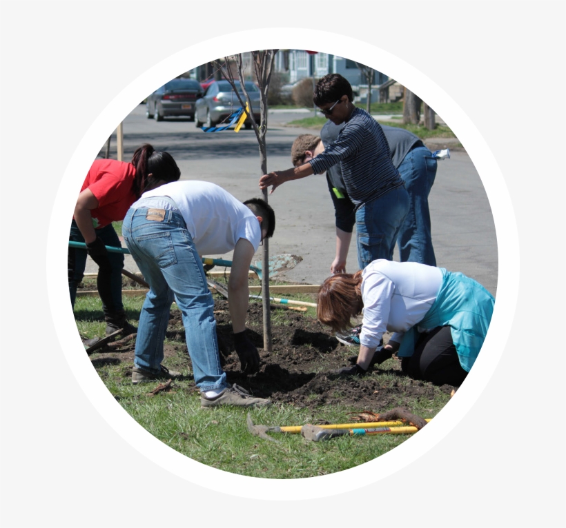 "when You Share Tools With A Community, They Begin, transparent png download