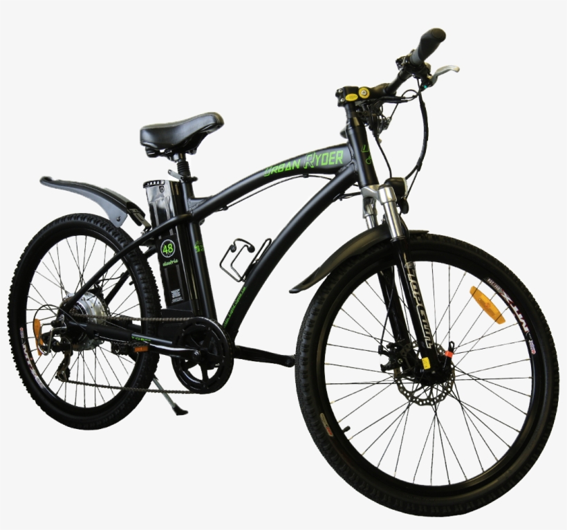 Imperial Aquila Png, transparent png download