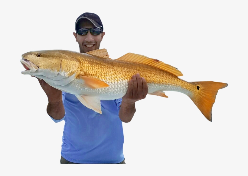 Port Canaveral And Nearby Sebastian Inlet Allow Access, transparent png download