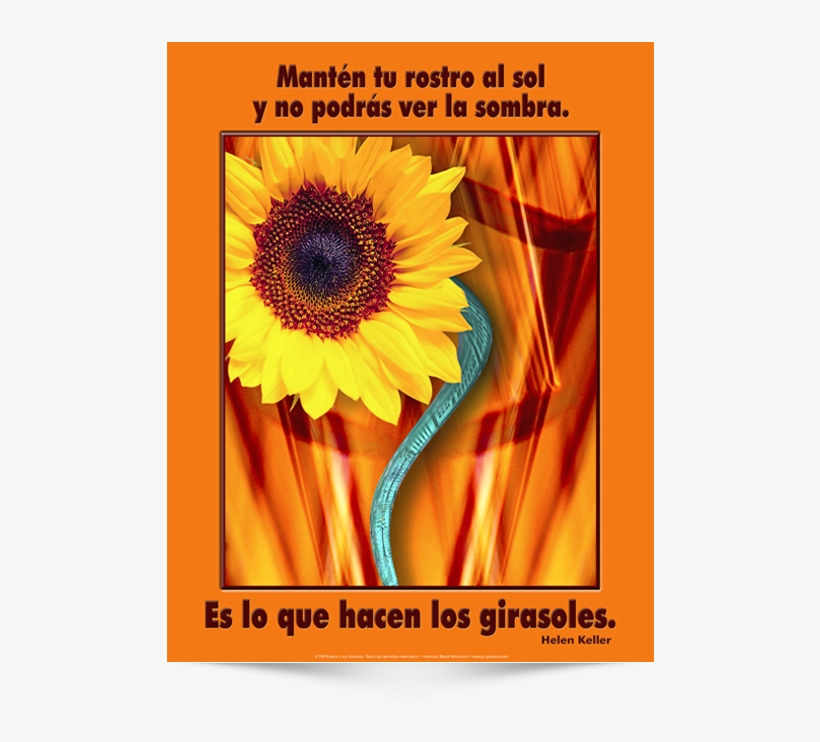 Keep Your Face To The Sunshine, transparent png download